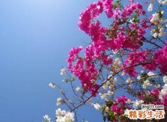 伤感微信昵称设计，有深意有内涵的微信个性名字