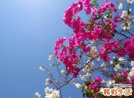 伤感微信昵称设计，有深意有内涵的微信个性名字