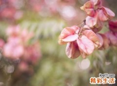 伤感个性名字，心痛到撕心裂肺的微信网名