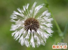 伤感到哭的心痛微信网名，失望心冷的个性名字