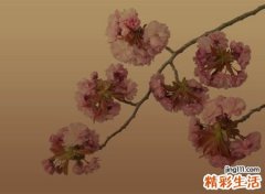 微信伤感个性名字，伤心让人心情不好的微信网名