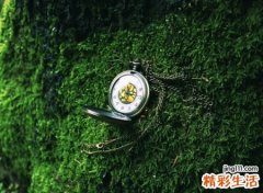 伤心的英文个性名字，微信伤感英文名带翻译