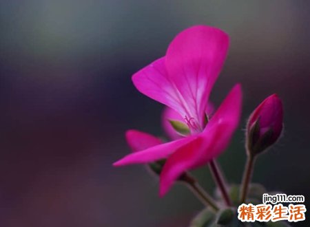 伤感个性昵称，一个人没心没肺的狠心微信昵称
