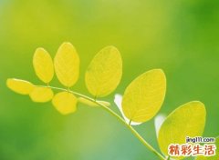 伤感难过的微信名字，心痛伤心的微信经典网名