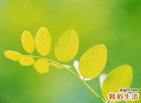伤感难过的微信名字,心痛伤心的微信经典网名