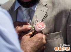 1993男鸡1995女猪婚配，男属鸡女属猪属相合不合