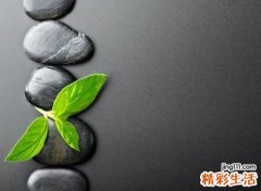 伤感唯美的微信长网名，孤寂殇情古风名字