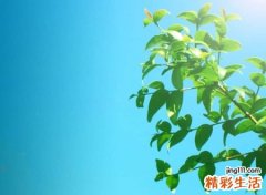 伤感心痛到绝望的微信个性名字，心被伤透了的微信网名