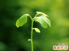 伤感悲伤的微信情感网名，默默心痛的微信伤感名字