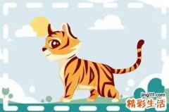 属虎的几月出生最好命 属虎的哪几月出生最不好