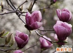 失恋伤感的抖音名字，抖音上很火的伤感网名