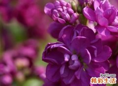 失恋后伤感的抖音长网名，伤感落泪的抖音个性昵称