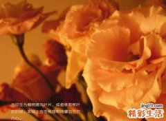 心伤心碎的唯美伤感微信名字，心痛心累心碎的网名