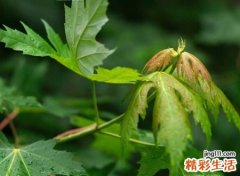孤独冰冷的微信忧伤名字，看了想哭的微信伤感网名