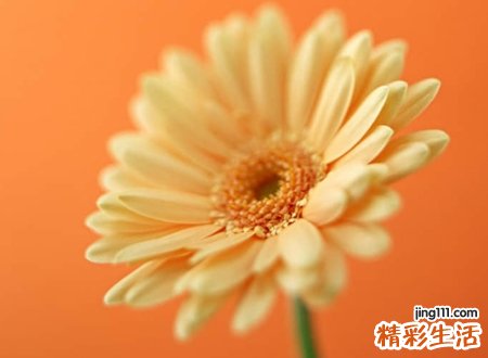 唯美伤感的快手个性网名，伤感一点的快手昵称