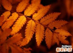 唯美忧伤的抖音伤感网名，最心酸让人落泪的昵称