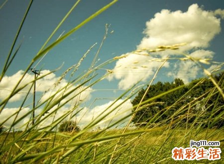 颓废自嘲的抖音伤感名字，抖音能让人狂赞的伤感网名