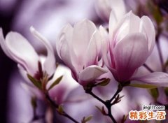 心酸心累的微信网名大全，心痛心碎的好听微信名字