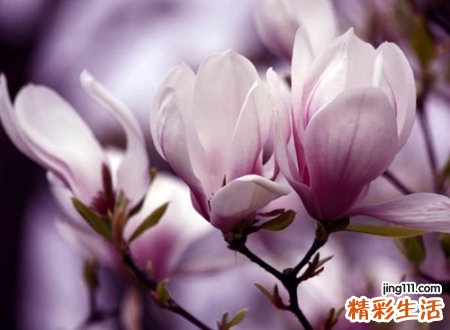 心酸心累的微信网名大全，心痛心碎的好听微信名字