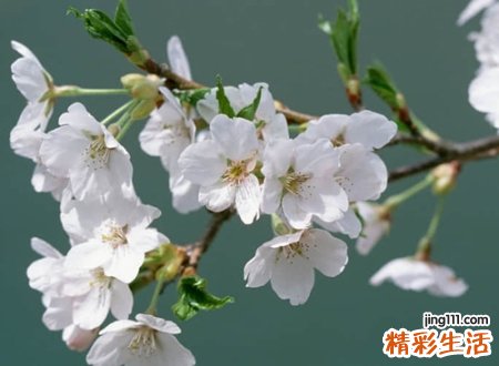 颓废伤感的微信名字，颓废堕落的微信个性网名