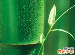 伤感微信网名，好听又伤感的微信经典名字