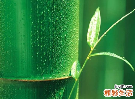 伤感微信网名，好听又伤感的微信经典名字