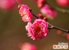 心碎伤感的qq个性昵称，伤感落泪最心酸的经典网名