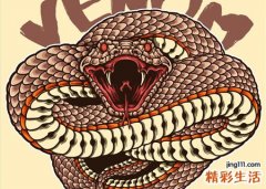 梦见巨蟒是什么意思，女人梦到大蟒蛇征兆