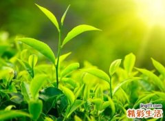 伤感好听的孤心孤泪网名，失望心冷的微信名字