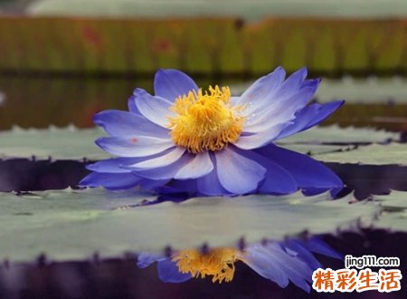 适合一个人的孤单网名，让对方看到心疼的心情昵称