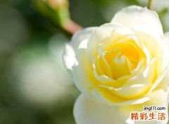 超级伤感的微信网名大全，谈情说爱免不了伤心的爱情感悟网名