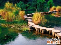 梦见蚂蝗从肉里拔出来好不好，女人梦见蚂蝗好不好