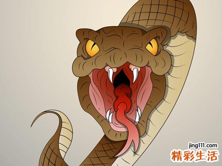 梦见超级巨蟒好不好，男人梦见大蟒蛇