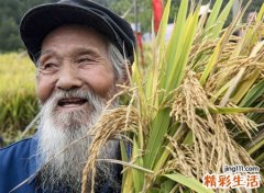 眉毛白了几根意味什么