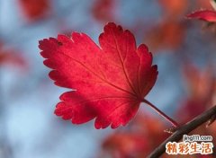 悲伤藏心的自恋网名，努力坚强的微信昵称