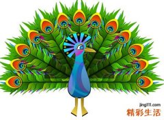 梦见孔雀开屏飞上天空翱翔