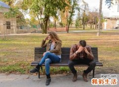 属牛和属鸡的婚姻怎么样，生肖牛鸡属相合不合