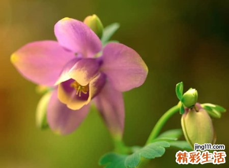 伤感落泪的坏心情网名,让自己坚强的微信昵称