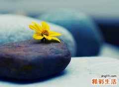 伤感颓废的个性名字，心痛心酸到撕心裂肺的网名