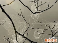 悲伤冷血的qq个性网名，超拽冷漠狠心的伤感昵称