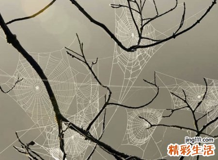 悲伤冷血的qq个性网名，超拽冷漠狠心的伤感昵称