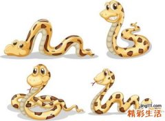 梦见巨蟒是什么征兆，做梦梦到巨蟒没有伤害自己