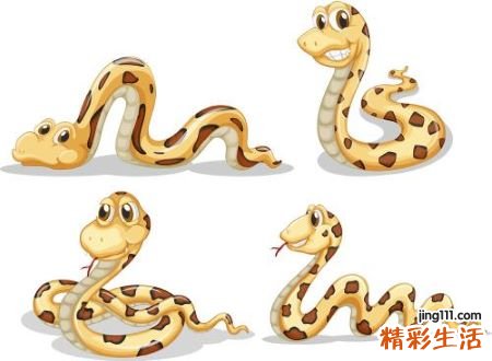 梦见巨蟒是什么征兆，做梦梦到巨蟒没有伤害自己