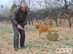 1937年属什么，37年属牛老人寿命