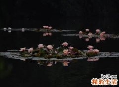 凄美诗意的古风名字，唯美好听略带忧伤的qq个性网名