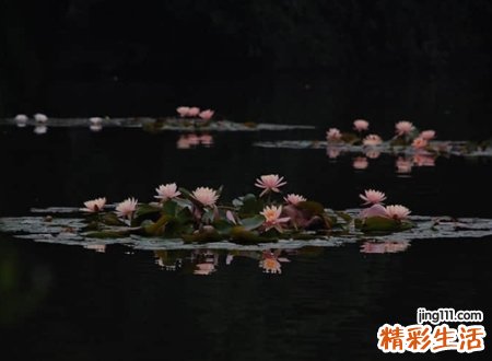 凄美诗意的古风名字，唯美好听略带忧伤的qq个性网名