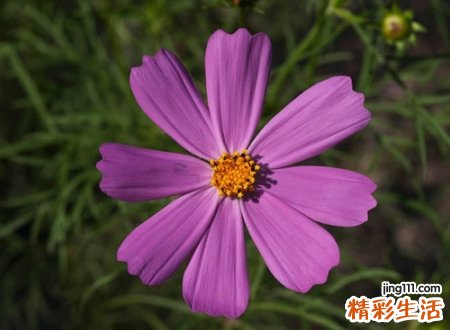 忧郁心碎的伤感网名，好听的抖音名字昵称