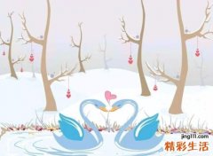 男女相差13岁是最佳婚姻吗