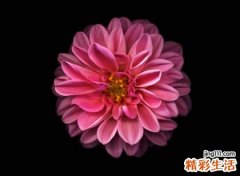 伤感心累疲惫的寂寞名字，听风在吹的微信感性网名