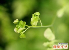 心寒心凉的网名，对某人失望心寒的qq个性名字